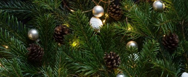 Как красиво украсить новогоднюю елку своими руками. Как украсить елку на новый год Нарядная елка на новый год