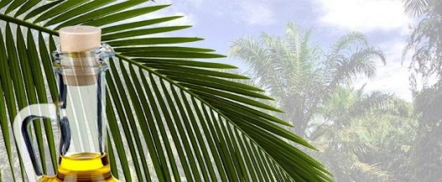 Пальмовое масло из чего производят для продуктов. Как делают пальмовое масло и к чему приводит его производство