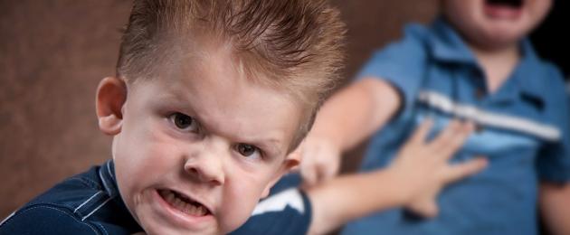 Агрессия у ребенка 5 лет причины. Агрессивный ребенок – почему и что делать