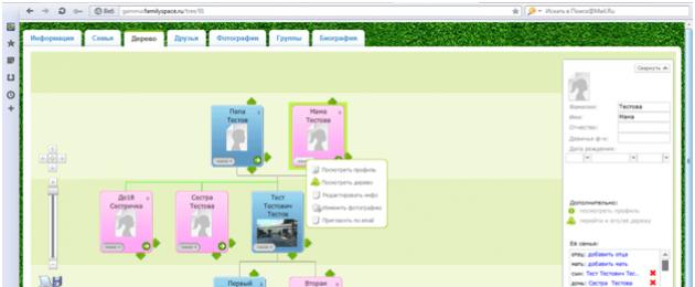 Родовое дерево. Как построить семейное древо онлайн на FamilySpace