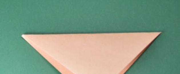 Kā izveidot apjomīgu papīra dzīvnieku.  Kā izgatavot origami papīra dzīvniekus