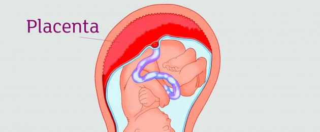 Korai öregedés terhesség alatt.  A placenta korai öregedése