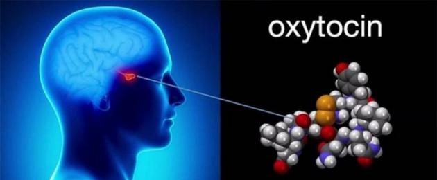 Как использовать окситоцин для прерывания беременности. Окситоцин: инструкция по применению для прерывания беременности
