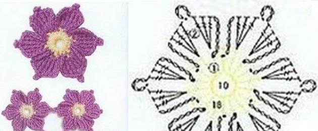 Связать цветочек для шапки крючком. Маленькие цветы крючком: букет из нитей
