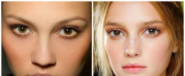 Jak udělat krásný make-up pro hnědé oči doma.  Make-up pro majitele tmavých vlasů a hnědých očí