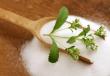 Zelišče Stevia - značilnosti uporabe priljubljenega nadomestka sladkorja