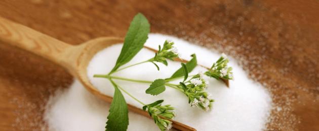 Stevia bylina - vlastnosti použitia obľúbenej náhrady cukru