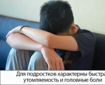 Ještě ne teenager: nejklidnější období v životě chlapce Psychologie výchovy dětí 10 13